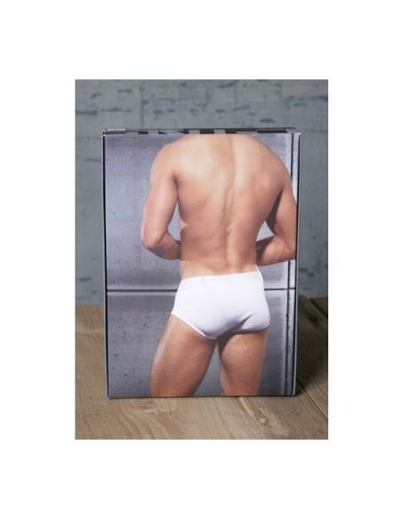 Lo no Show Profile Brief + Sling Support