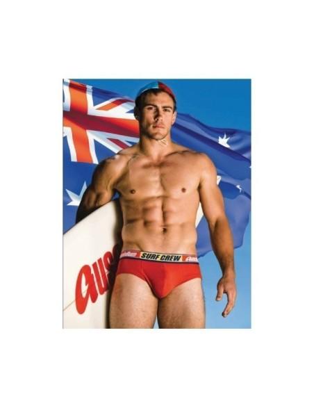 Trunk Show Swimwear Inspires Art