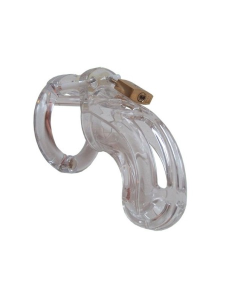 The Curve Chastitycage
