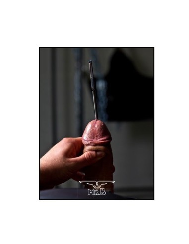 Separate Hegar Dilatator